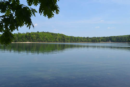 ���������� ���� Walden Pond