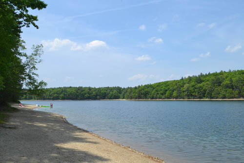 Walden